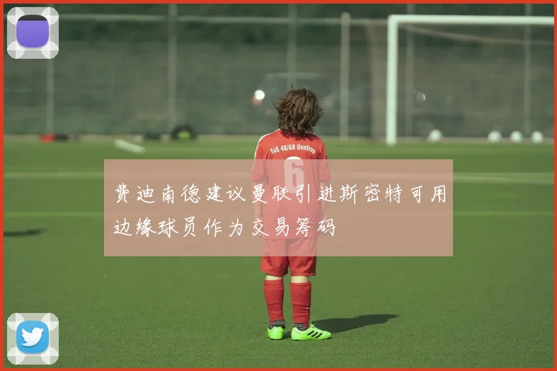 费迪南德建议曼联引进斯密特可用边缘球员作为交易筹码